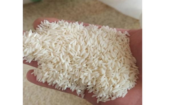 برنج دودی آستانه اشرفیه فله ای