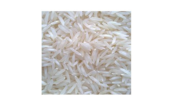 برنج طارم معطر آستانه اشرفیه فله ای
